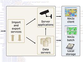 NinJo data flow